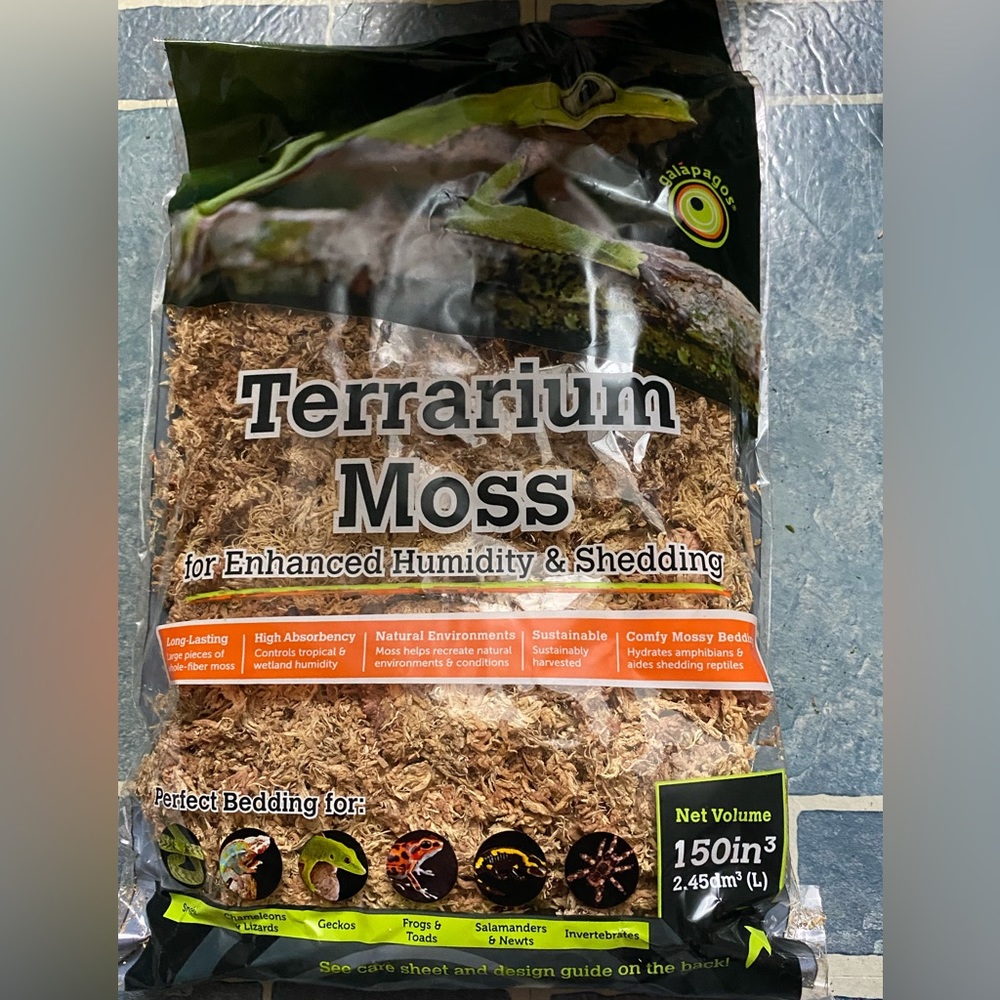 Galápagos Reindeer Moss